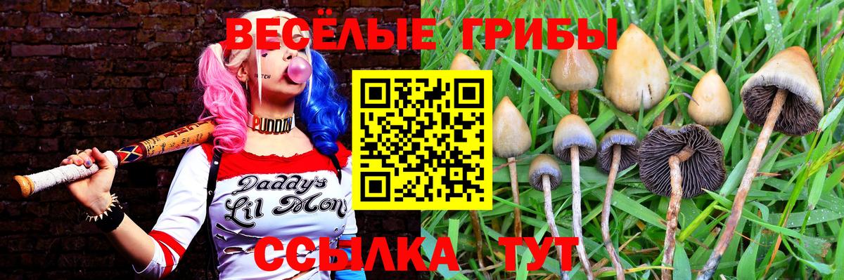 Галлюциногенные грибы Psilocybe  Галлюциногенные грибы GOLDEN TEACHER  Вход с VPN  Нефтекамск 